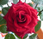 2012 05 20.JPG