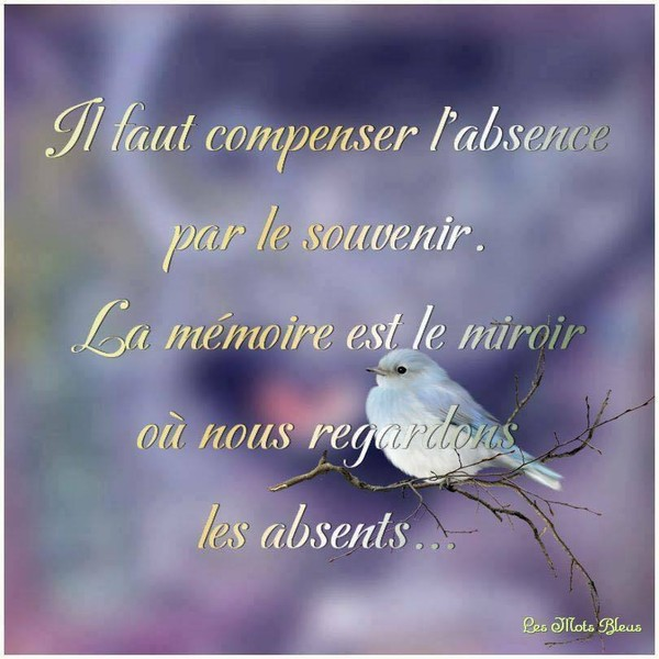 Citation Citation Forum Poesie Et Ecriture Poemes Et Poetes Jepoemes Com