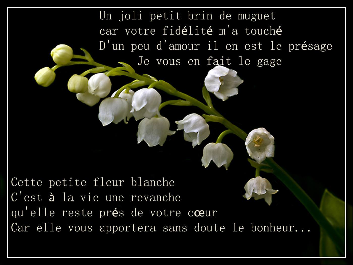 Photographie Un Brin De Tendresse Forum Poesie Et Ecriture Poemes Et Poetes Jepoemes Com