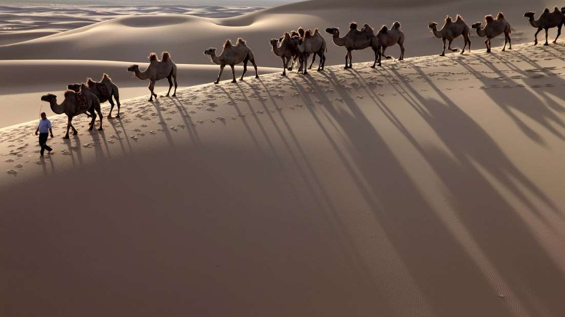 desert de Gobi asie centrale.jpg